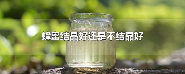 蜂蜜结晶好还是不结晶好