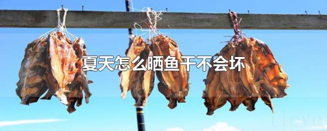 夏天怎么晒鱼干不会坏 夏天怎么晒鱼干不会坏
