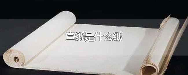 宣纸是什么纸