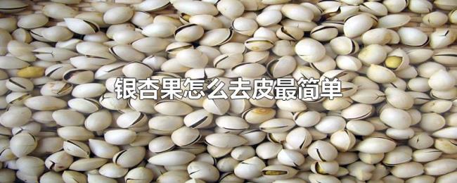 银杏果怎么去皮最简单