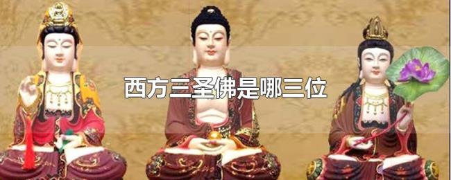 西方三圣佛是哪三位 西方三圣佛是哪三位