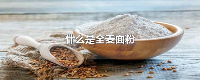 什么是全麦面粉 什么是全麦面粉