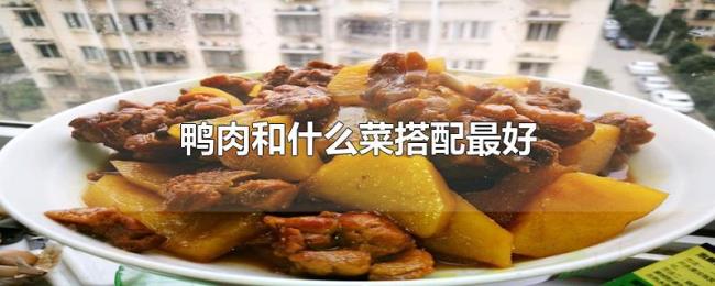 鸭肉和什么菜搭配最好 鸭肉和什么菜搭配最好