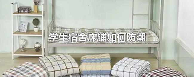 学生宿舍床铺如何防潮