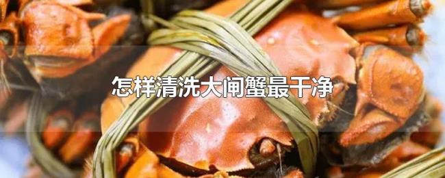 怎样清洗大闸蟹最干净