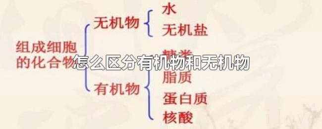 怎么区分有机物和无机物
