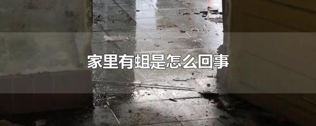 家里有蛆是怎么回事