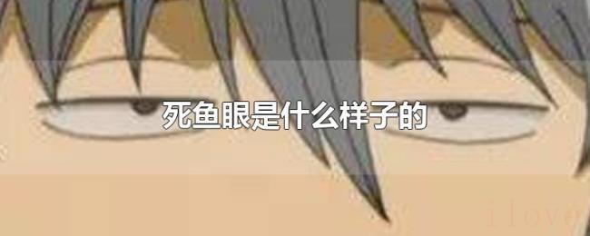 死鱼眼是什么样子的