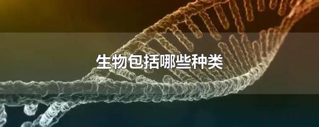 生物包括哪些种类