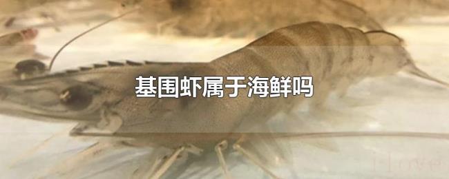 基围虾属于海鲜吗 基围虾属于海鲜吗