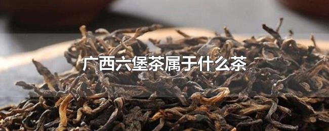广西六堡茶属于什么茶 广西六堡茶属于什么茶