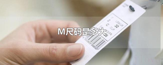 M尺码是多大