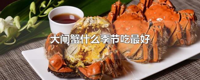 大闸蟹什么季节吃最好 大闸蟹什么季节吃最好
