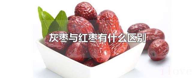 灰枣与红枣有什么区别 灰枣与红枣有什么区别