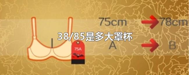 38/85是多大罩杯