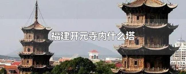 福建开元寺内什么塔 福建开元寺内什么塔