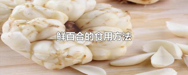 鲜百合的食用方法