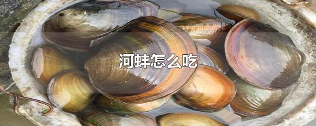 河蚌怎么吃