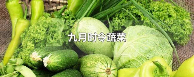 九月时令蔬菜 九月时令蔬菜