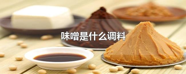 味噌是什么调料 味噌是什么调料