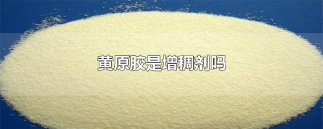 黄原胶是增稠剂吗 黄原胶是增稠剂吗