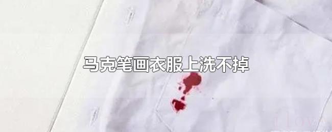 马克笔画衣服上洗不掉