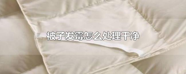 被子发霉怎么处理干净