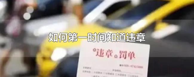 如何第一时间知道违章 如何第一时间知道违章