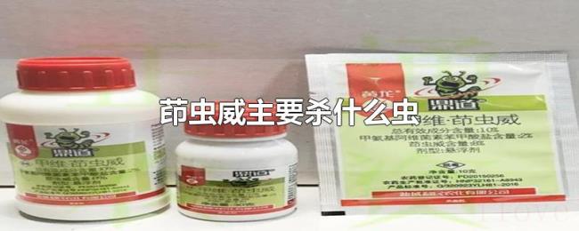 茚虫威主要杀什么虫 茚虫威主要杀什么虫