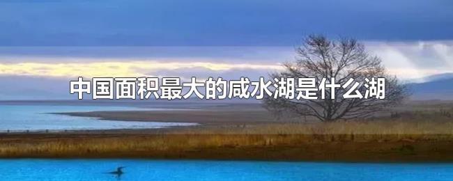 中国面积最大的咸水湖是什么湖