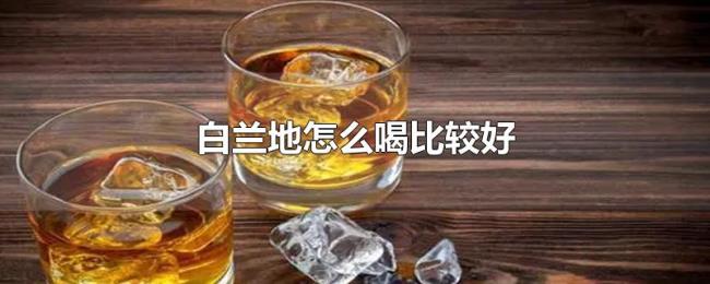 白兰地怎么喝比较好 白兰地怎么喝比较好