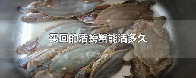 买回的活螃蟹能活多久