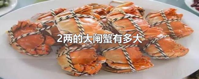2两的大闸蟹有多大 2两的大闸蟹有多大