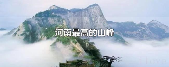 河南最高的山峰 河南最高的山峰