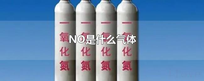 NO是什么气体 NO是什么气体