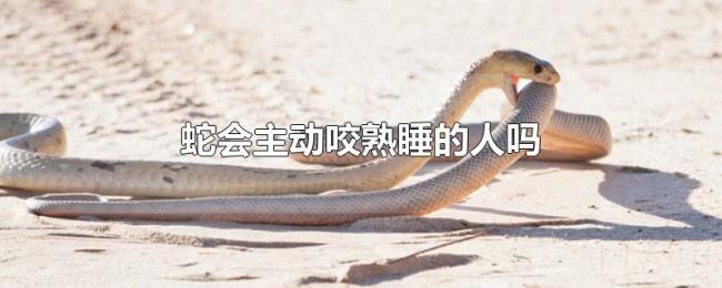 蛇会主动咬熟睡的人吗 蛇会主动咬熟睡的人吗