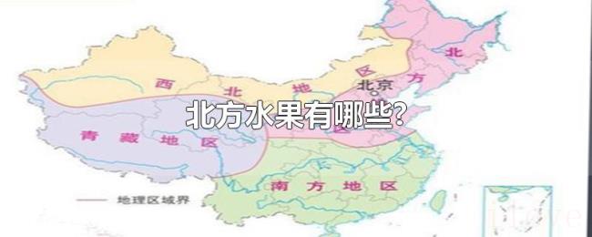 北方水果有哪些?