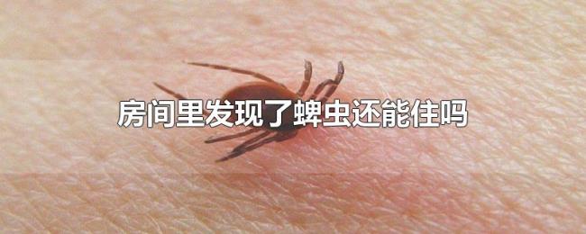 房间里发现了蜱虫还能住吗 房间里发现了蜱虫还能住吗