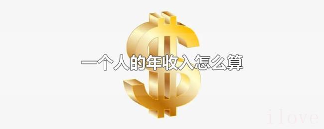 一个人的年收入怎么算 一个人的年收入怎么算