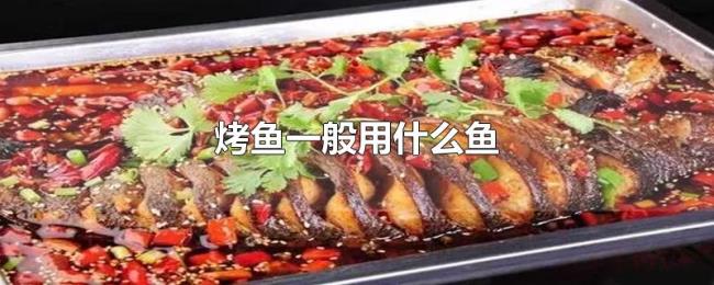 烤鱼一般用什么鱼