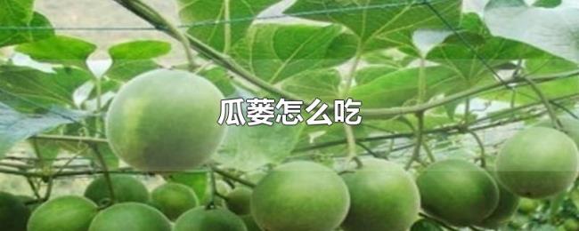 瓜蒌怎么吃 瓜蒌怎么吃