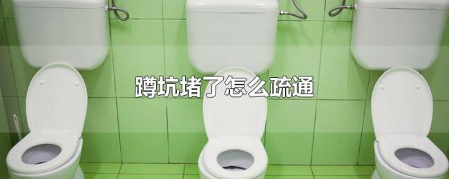 蹲坑堵了怎么疏通 蹲坑堵了怎么疏通