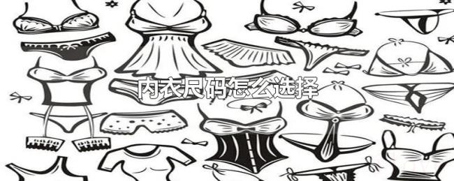内衣尺码怎么选择