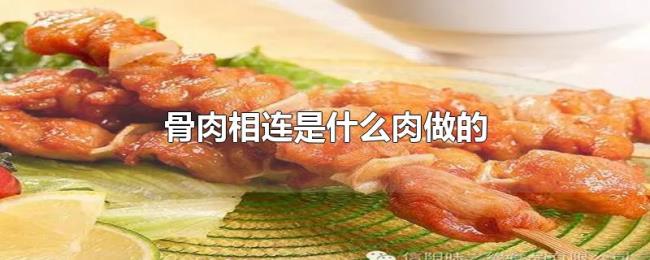 骨肉相连是什么肉做的 骨肉相连是什么肉做的