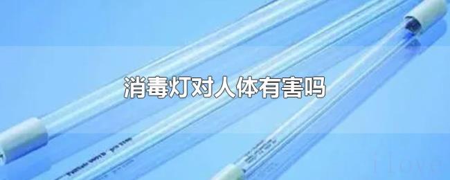消毒灯对人体有害吗