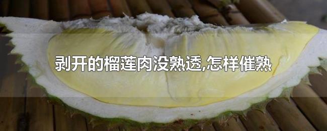剥开的榴莲肉没熟透,怎样催熟 剥开的榴莲肉没熟透,怎样催熟
