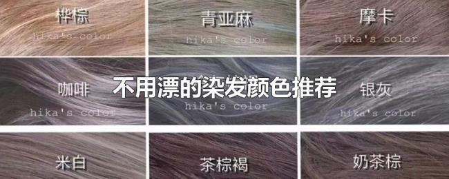 不用漂的染发颜色推荐 不用漂的染发颜色推荐