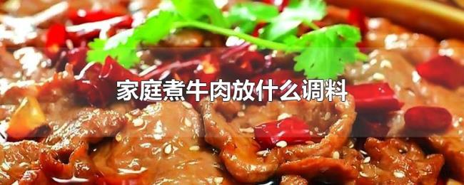 家庭煮牛肉放什么调料