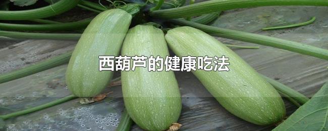 西葫芦的健康吃法 西葫芦的健康吃法