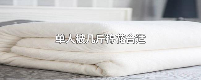 单人被几斤棉花合适